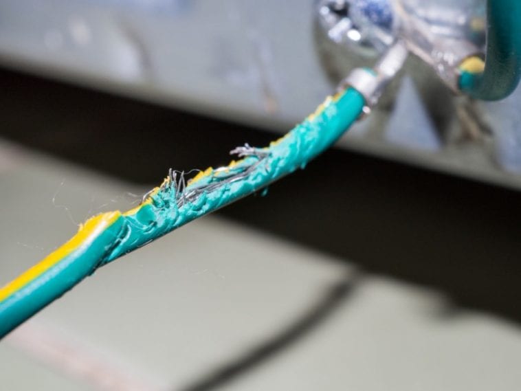 How to Keep Your Bunnies from Getting Electrocuted? Here Bunny