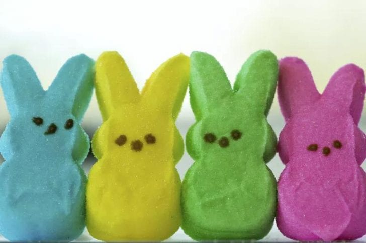 Is Food Coloring Safe for Your Rabbits? | Here Bunny