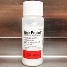 Does Neo Predef Powder Improve Your Rabbit's Condition? | Here Bunny