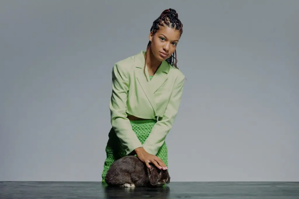 Is It Safe For Rabbits To Wear Clothes? Here Bunny