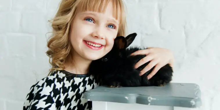 Rabbit Anatomy 101: The Definitive Guide - Here Bunny