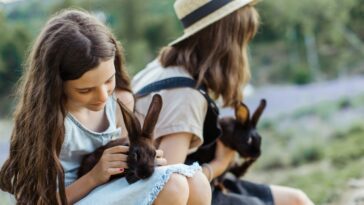 Taking Care Of Rabbits While Playing Outside